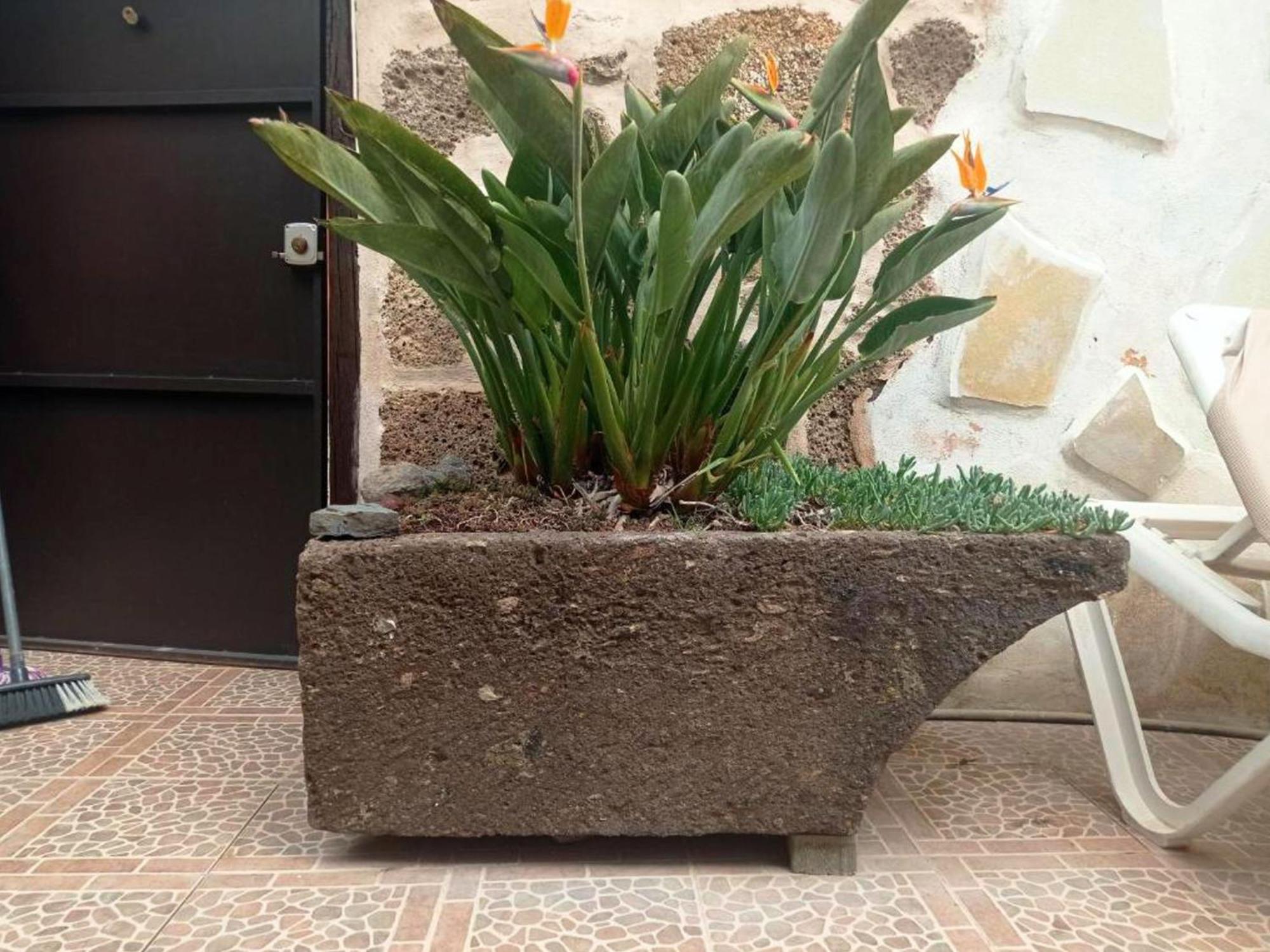 Live Arico Lagar Villa Arico el Nuevo Bagian luar foto